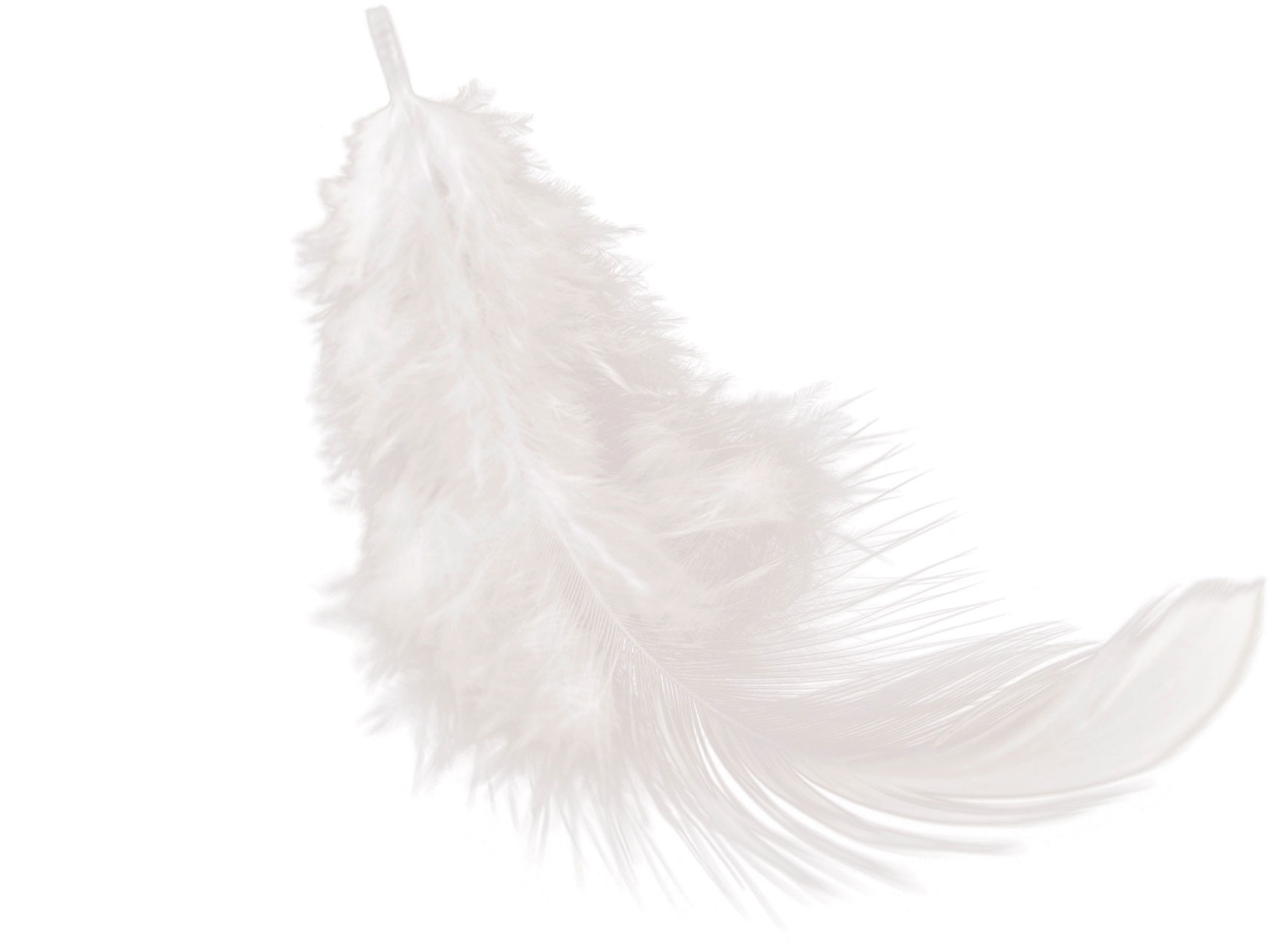 Number section background - section 1 - Ongelooflijk zacht!